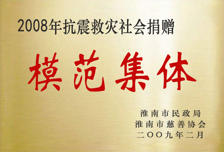 2008年抗震救灾社会捐赠模范集体.jpg